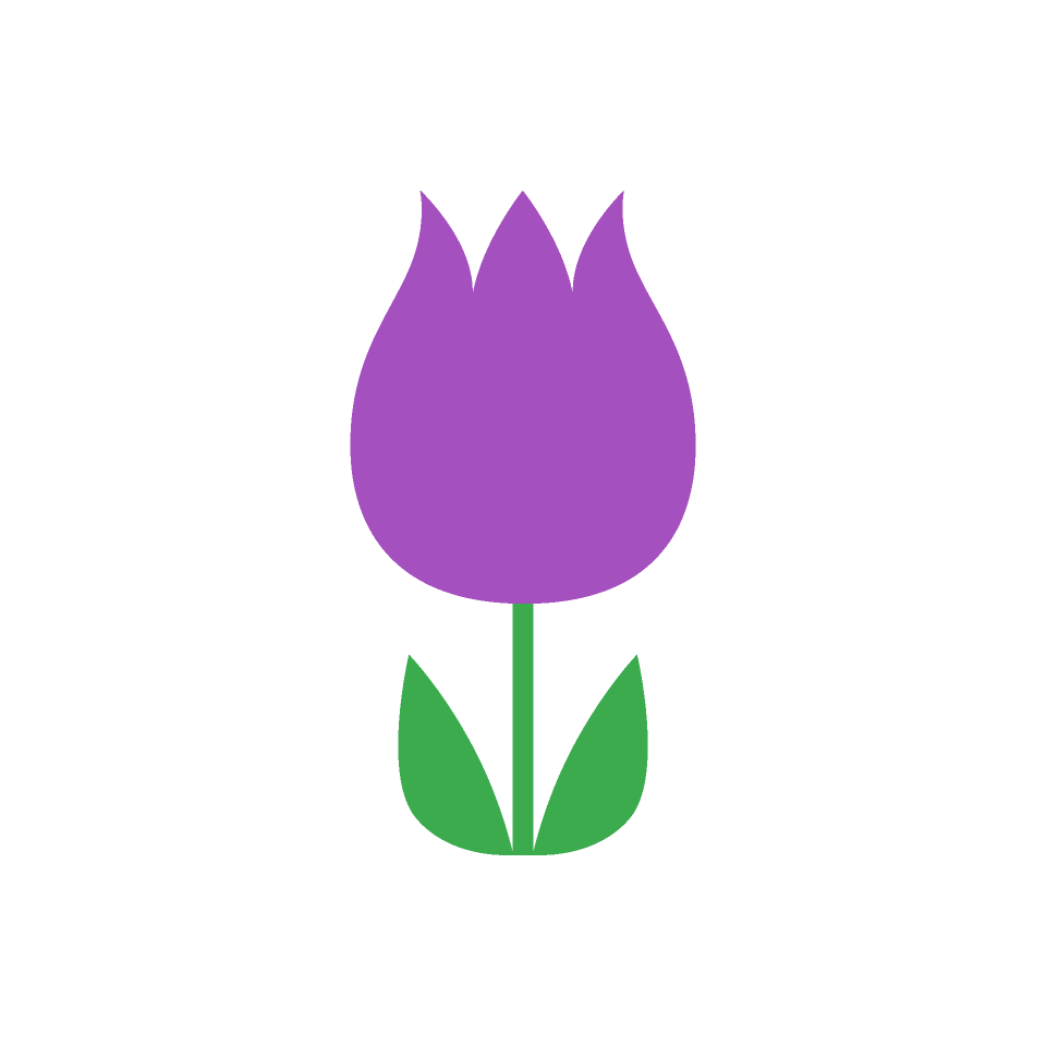 紫色系の花